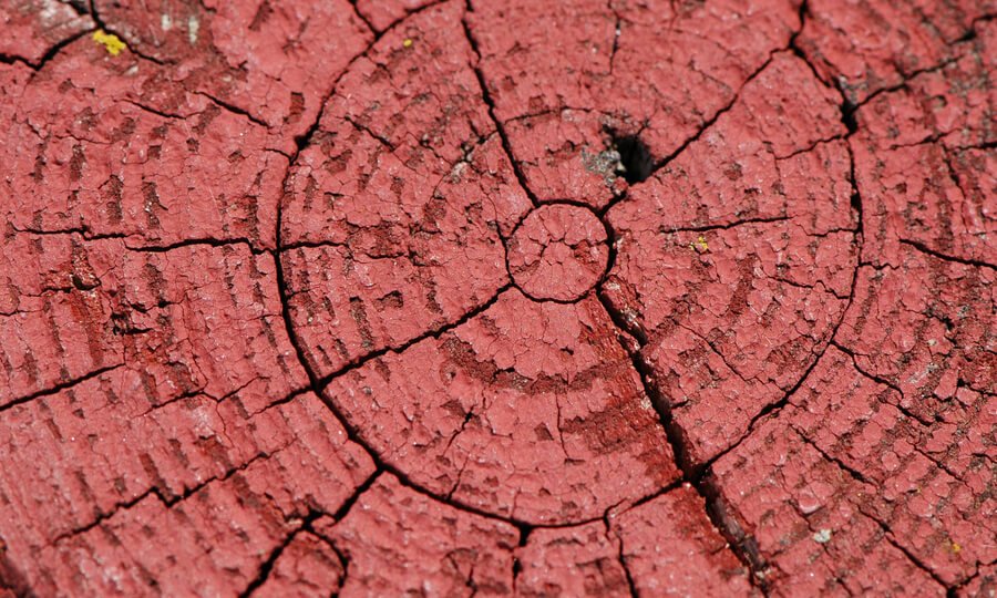 Treating soil for termites - Cracked red-painted tree stump surface.