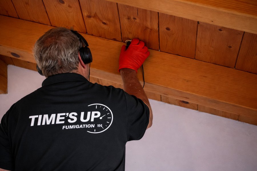 Are there termite treatment services that include follow-up visits - Pest control worker inspecting attic space.