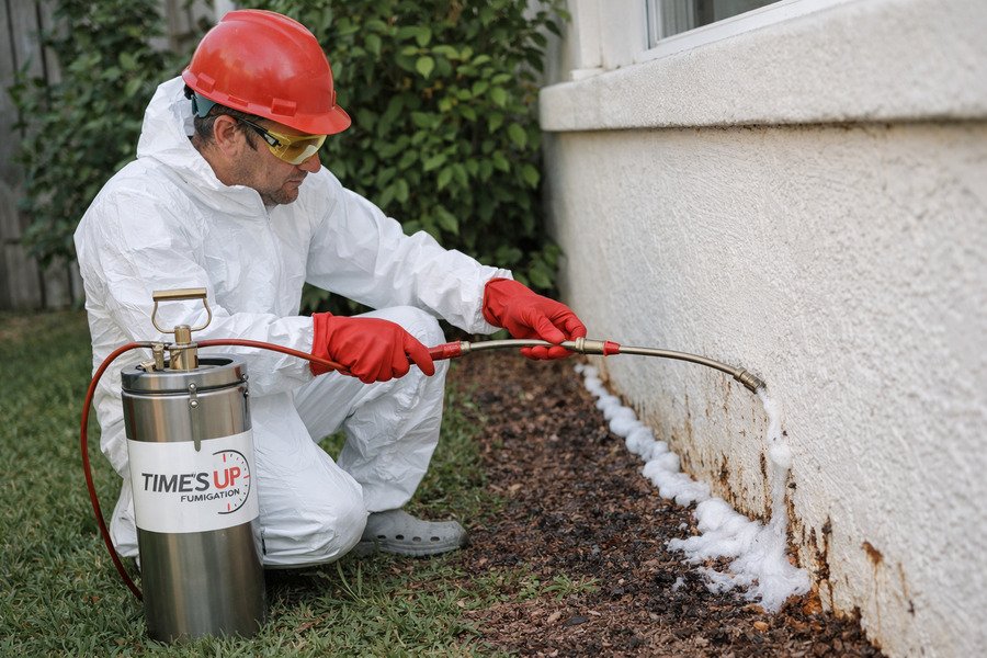 Subterranean termites treatment cost home treatment - Pest control worker treating building foundation.