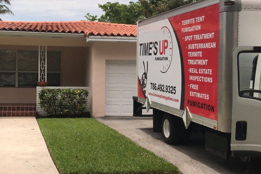 Where can I find affordable ant extermination services -