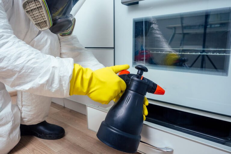 Affordable Pest Control Services For Apartments