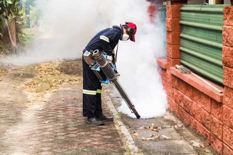 Find Reputable Pest Control Companies In My Area