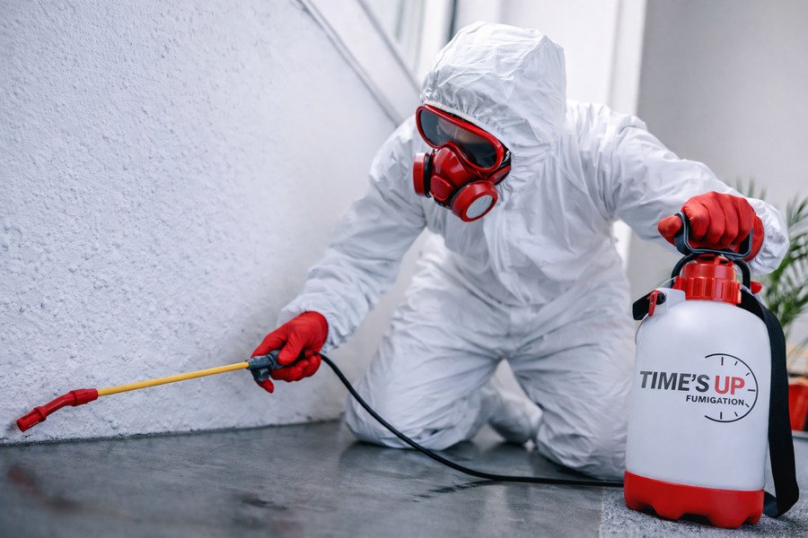 How can I schedule a home pest inspection - Pest control worker spraying treatment on floor.