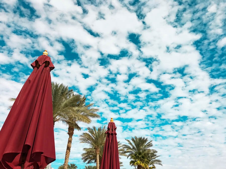 Red patio umbrellas and palm trees under a bright blue sky with scattered white clouds.
