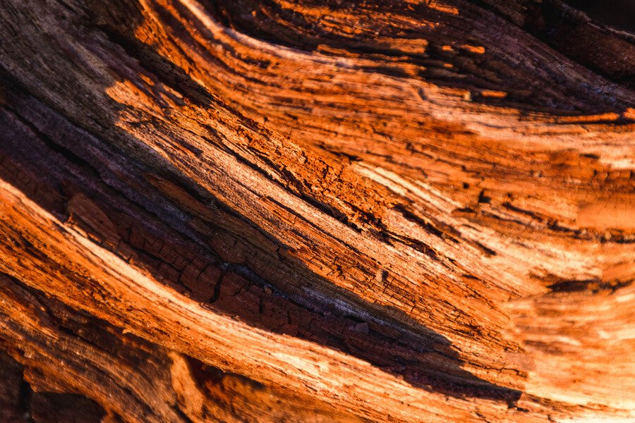 Aerial view of luxury waterfront homes with pools, boats, and a city skyline in the distance.