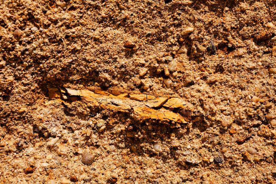 fast termite treatment - lose-up of soil with decaying wood fragment underground.