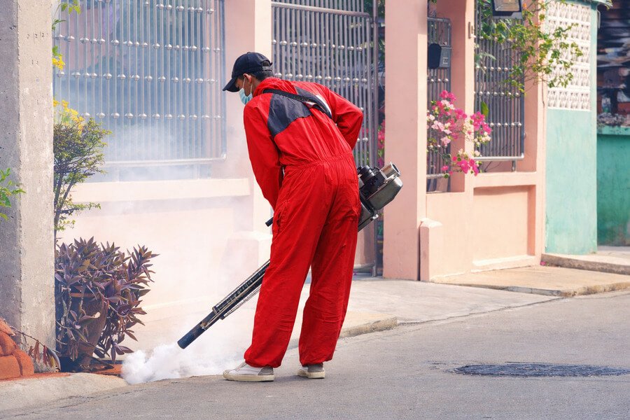 How Long Does Termite Fumigation Last