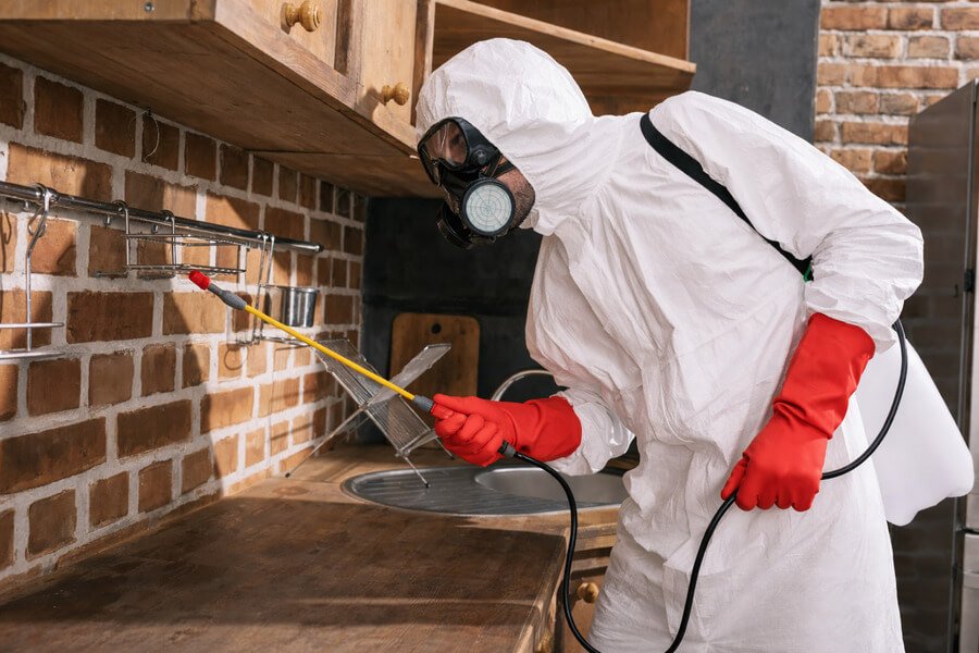 How To Prepare Home For Termite Tenting