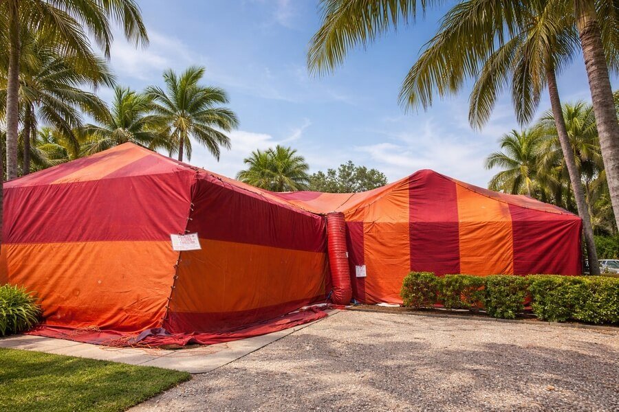 Termite Inspection Miami