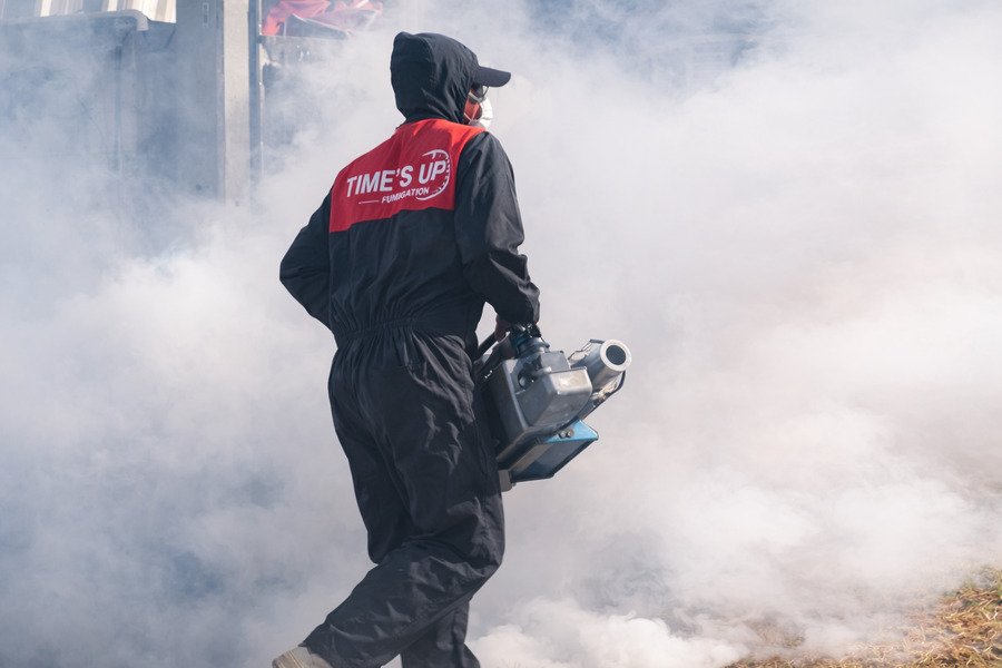 Urgent termite treatment - Technician performing termite fumigation with smoke equipment.