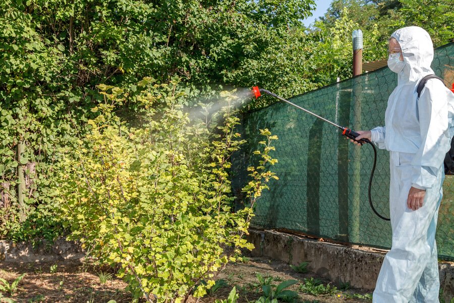 Best Alternatives to Termite Tenting for Florida Homes: Pros, Cons, and Costs