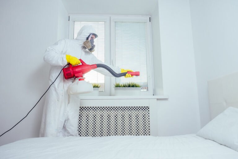 Does Termite Tenting Kill Other Bugs? What Florida Homeowners Need to Know
