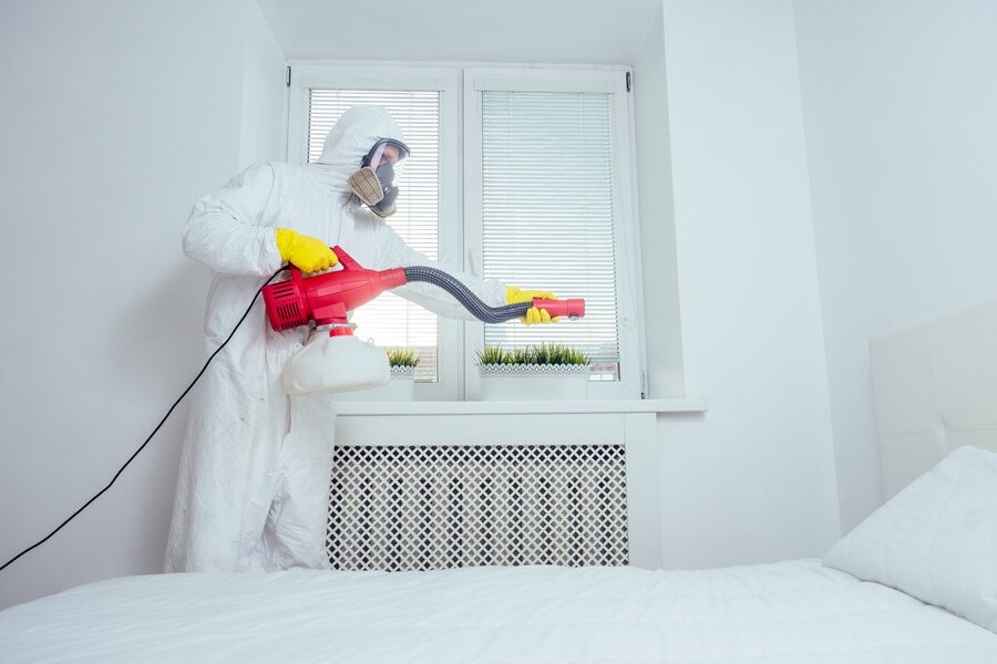 Does Termite Tenting Kill Other Bugs? What Florida Homeowners Need to Know
