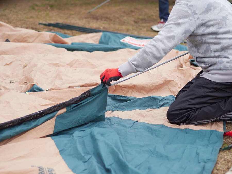 Tent vs. Tentless Termite Treatment: Which Option Is Right for Your Florida Property
