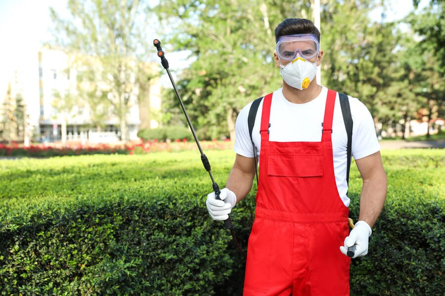 Tentless termite treatment reviews - Pest control technician ready for outdoor treatment.