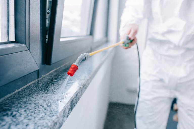 Tenting vs. Spot Treatment: Pros, Cons, and Costs for Florida Homes