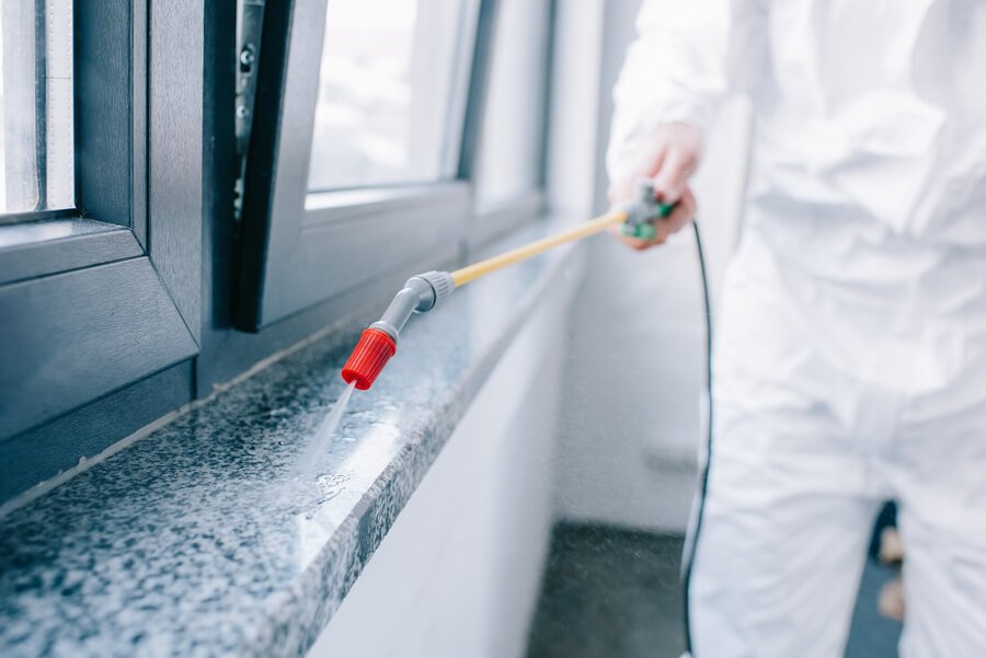 Tenting vs. Spot Treatment: Pros, Cons, and Costs for Florida Homes