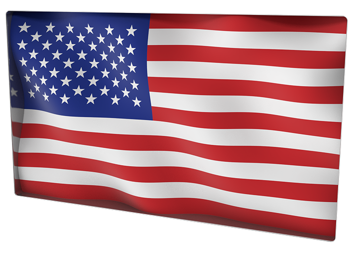 U.S. flag representing termite treatment services in Florida.